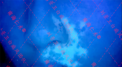 海口仁术皮肤.png