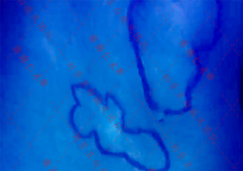 海口仁术皮肤.png