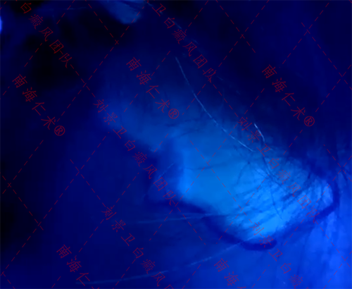 abafb7204fd1ea48213124bf2d46882.png