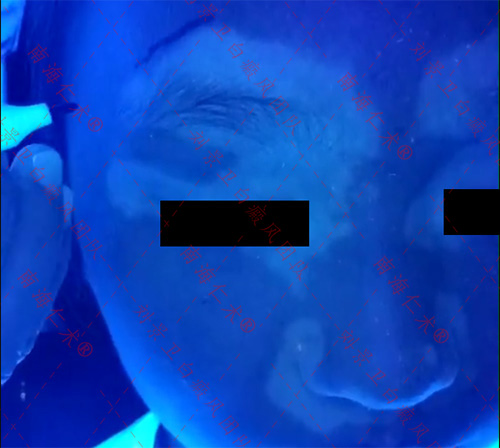 6e0b735e789dd7c3a7b2da0ab145374.jpg