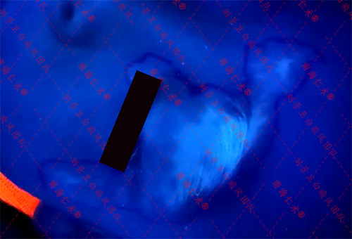 4bcaab45ff96bb5c78f0955e8221f29.png