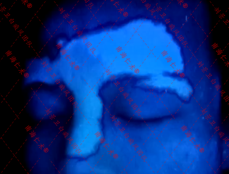 daa3902685ed641fb2b5a7e35fd63be.png